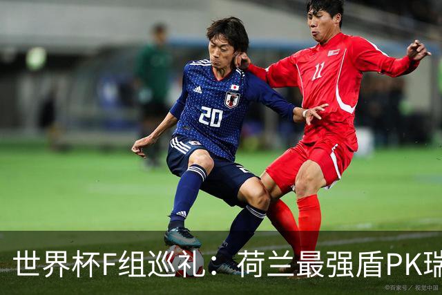 世界杯F组巡礼：荷兰最强盾PK瑞典犀利刀 日本短板明显